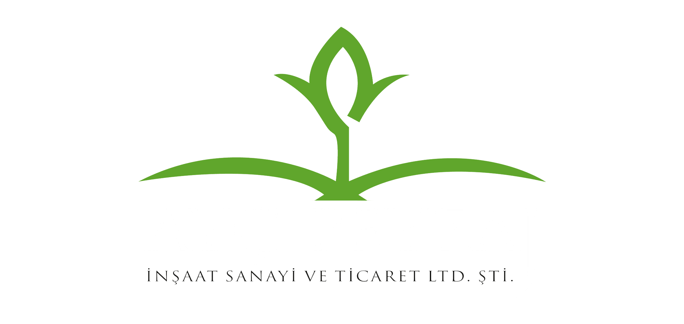 AYC Logo